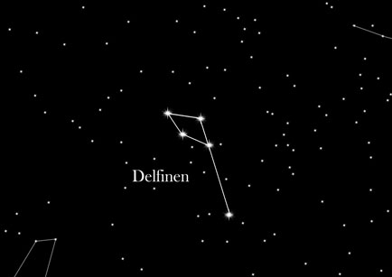 Stjernetegnet Delfinen